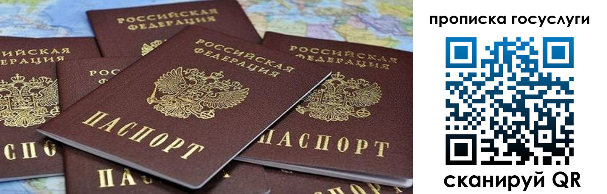 пропишу в квартире в Завитинске